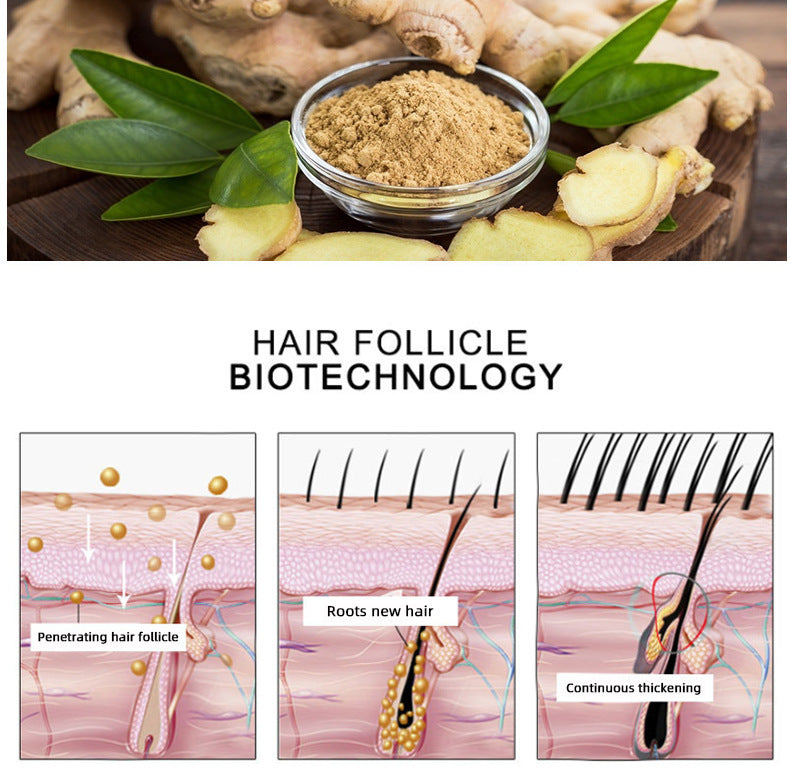 Hair Growth Essence Oil Hair Growth Oil Oem Hair Care Essential Oil